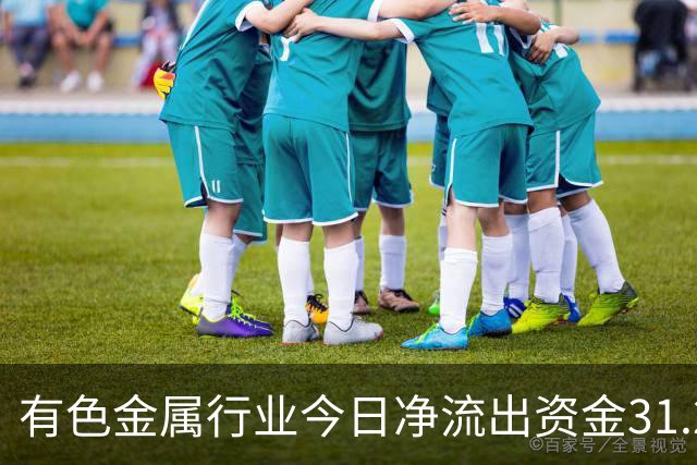 有色金属行业今日净流出资金31.22亿元，紫金矿业等6股净流出资金超亿元